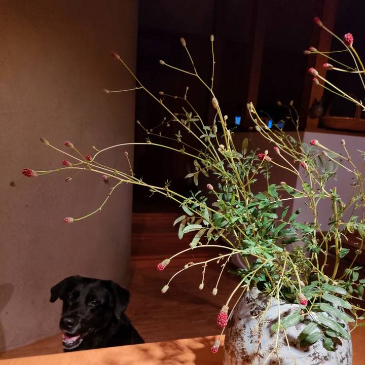 4943a02e 8de6 4d2e b452 066645361e4c 1663587808331