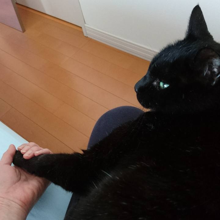 4943c574 ff72 4ae2 889d 66a1641725e3 1552034473761