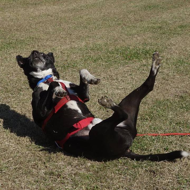 4943e557 8b06 4d1c b23a e6bdc31801b8 1681093388222