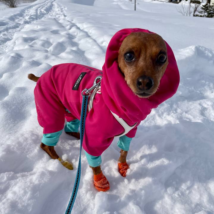 49442d84 bb89 4814 9134 5dd8af83e9e7 1645247913698