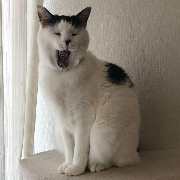 49445c1b 9ae5 4281 8446 1ed7766047a4 1543188058374