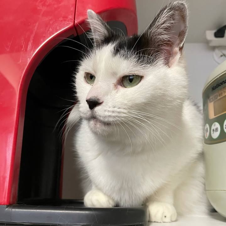 49445f34 c8fe 4382 893a 25a64159bc67 1607557023039