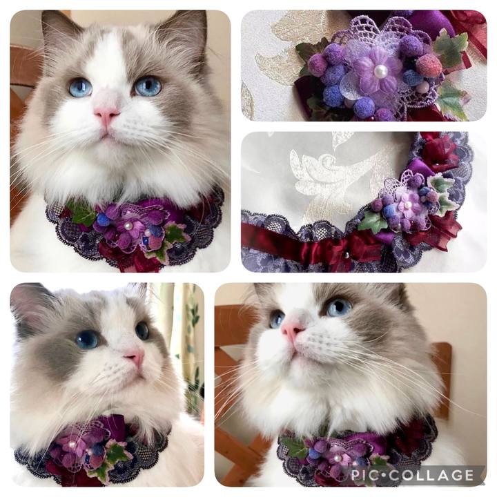 4944aea2 7613 452b a944 9c6f6adbd560 1632776932969