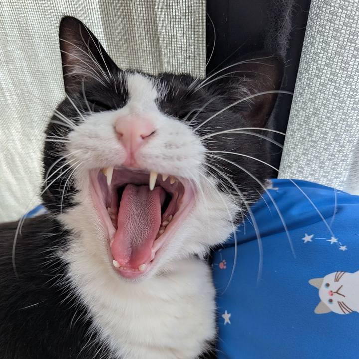 49451e73 78d1 4f56 9adf 51a7c2d68d49 1747640678520