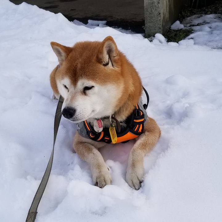 49457974 cc33 49b2 ab69 e0b17f24de7c 1614836673041