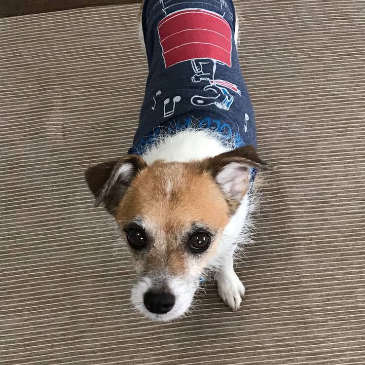 49459536 2721 4d43 9151 c31d89e267bf 1566790213277