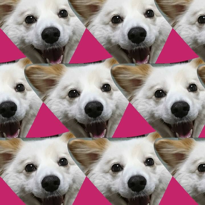 4945c342 b0bf 4f60 a1fd fd2993ab6a72 1512533657866