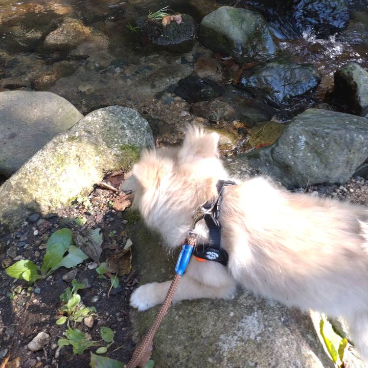 4945e4e9 89cb 406b a232 f17f74c7dc3d 1729037416470