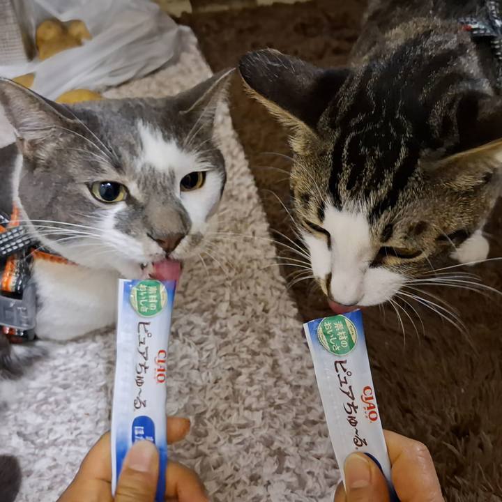 4945fd39 a921 466b b976 8af35cddb693 1750987901342