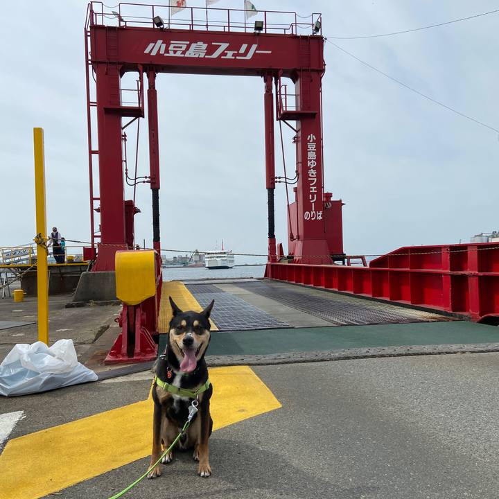 49462573 156b 4660 855b c6412dd2cfb6 1619263889339