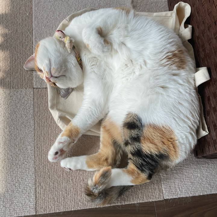 49464332 b113 44bb 863a c9c1ddbad92f 1650694360431