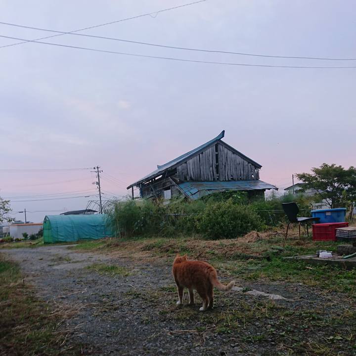 4946641c 29de 4948 a1fd 2a2ce6d6a111 1601671641884