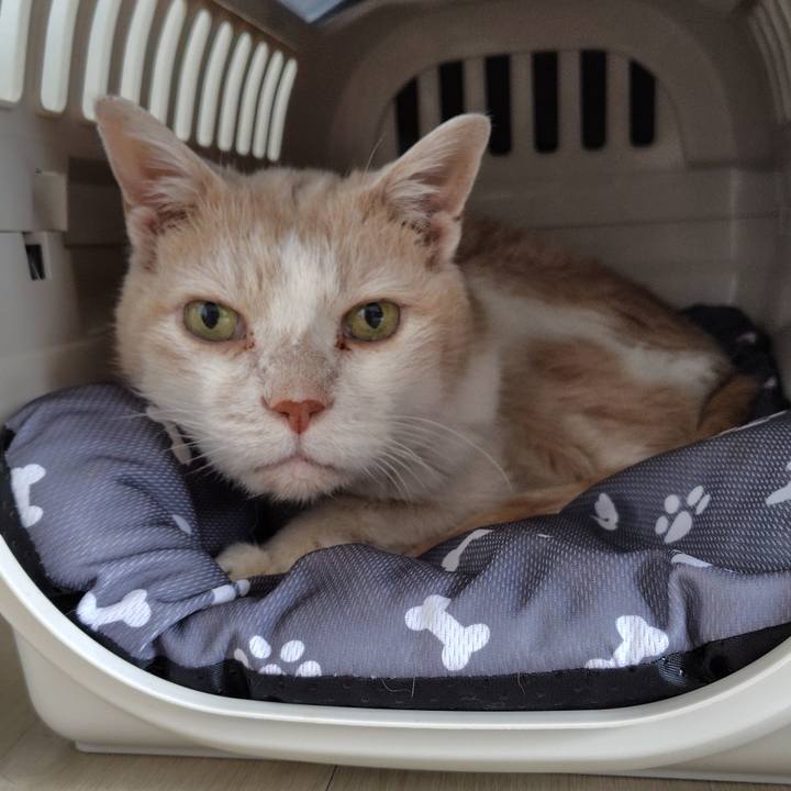 494686a6 ce83 4386 9446 c35c4825107f 1748817116401