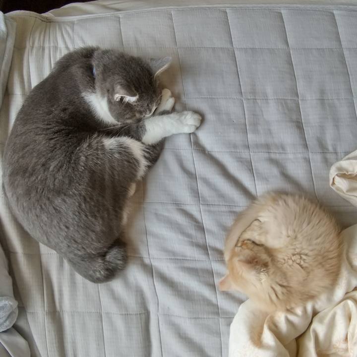 49469830 8998 41fc be19 96227425bba7 1603162933731