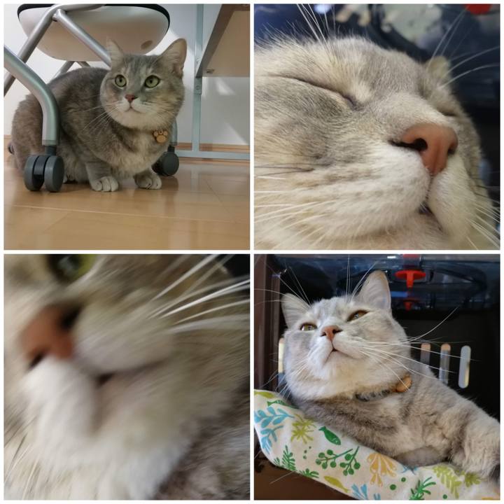 4946a445 878d 401a 8422 456b18ff2aa0 1570695729915