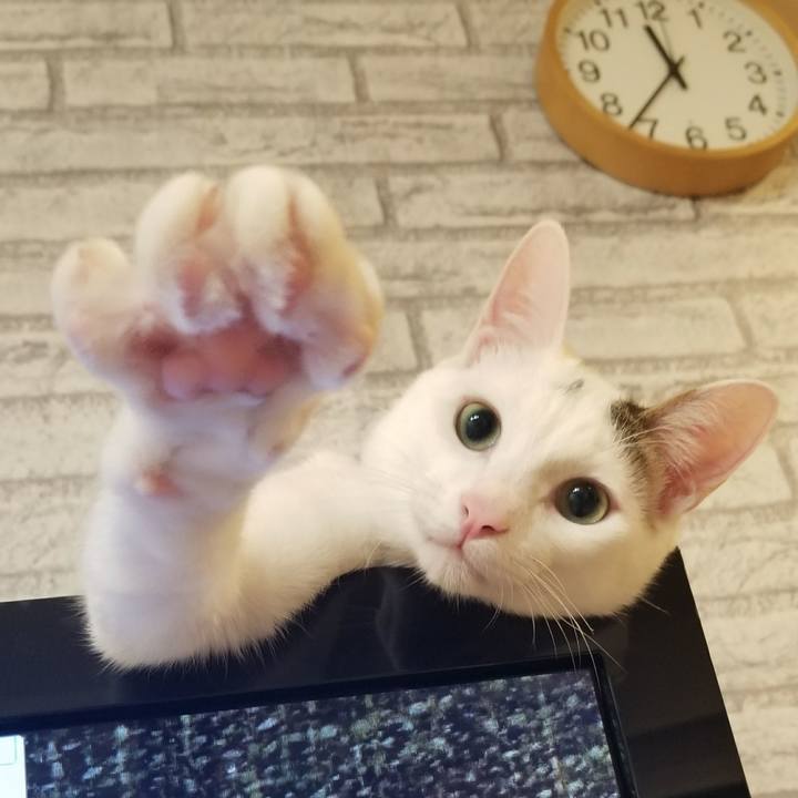 4946c5f2 69b3 4def 8796 c15f09871abc 1519483049214