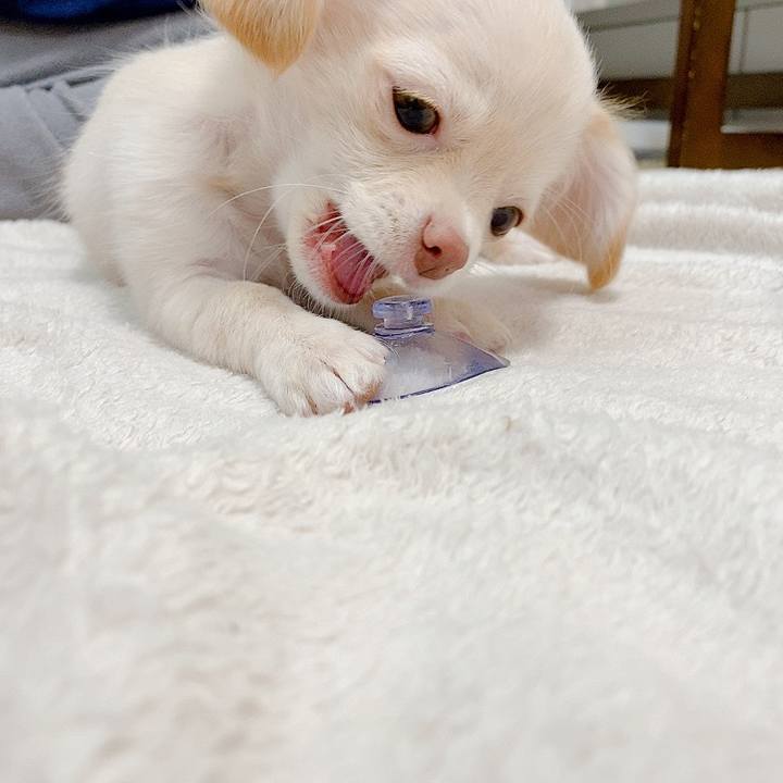 4946d180 2dc7 468d 986c 40661c4ee1f0 1590650409946