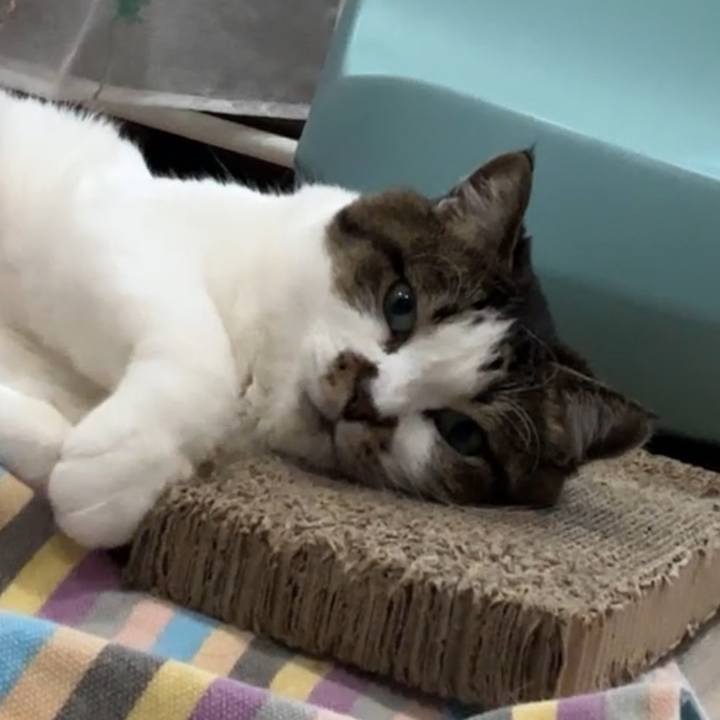 4946fb67 e912 45a5 9eff 1d126b18dc1c 1768476664092