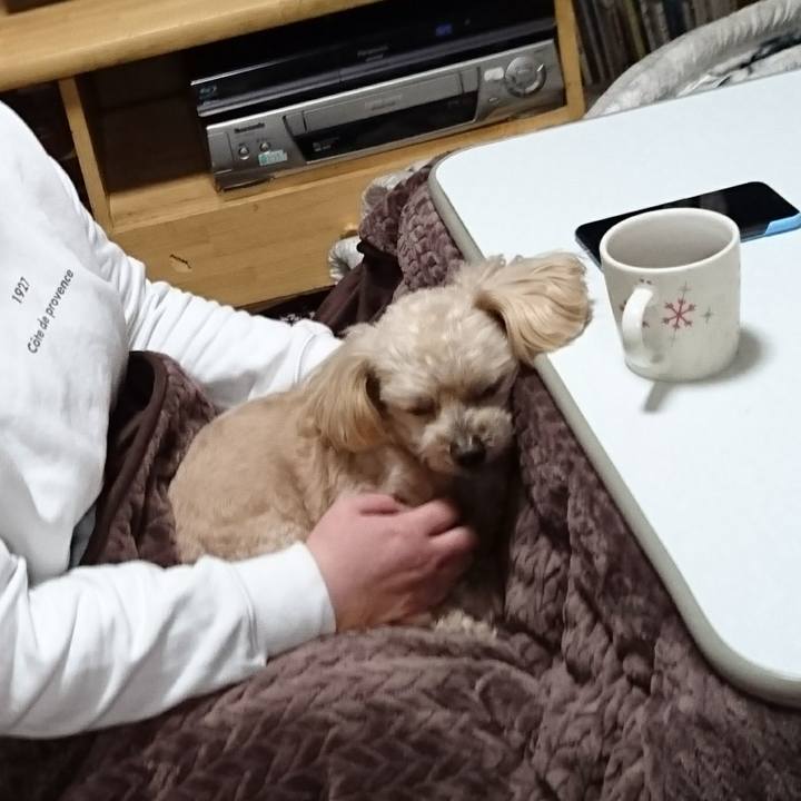 49470a26 6674 47a1 8f9c 701f8233c11a 1615170520650