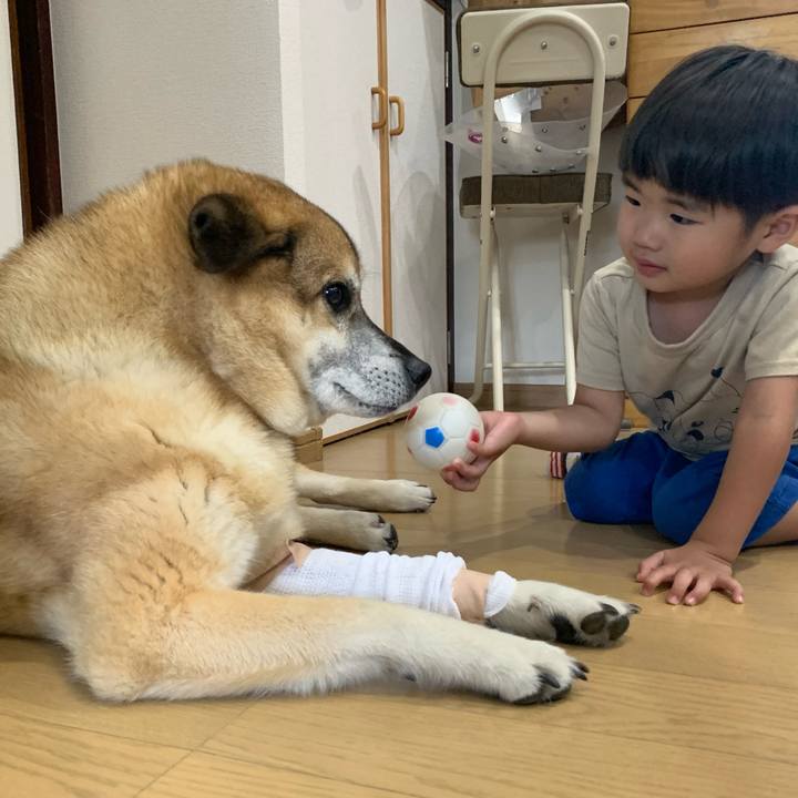 49470ee7 510c 48b0 ab43 baf34a7f67ee 1627107086012