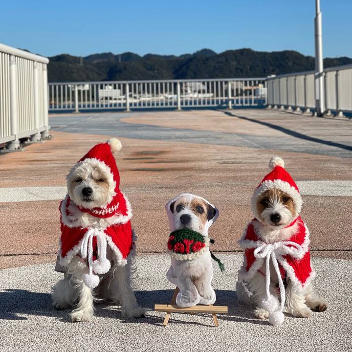 494746c3 1b70 41fa ad5b 76a465de5a50 1764856490483