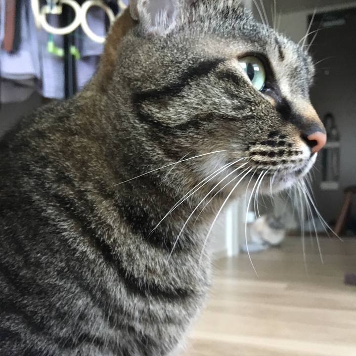 49475d86 58f1 491f ad6b 3848cc1d755f 1585966888773