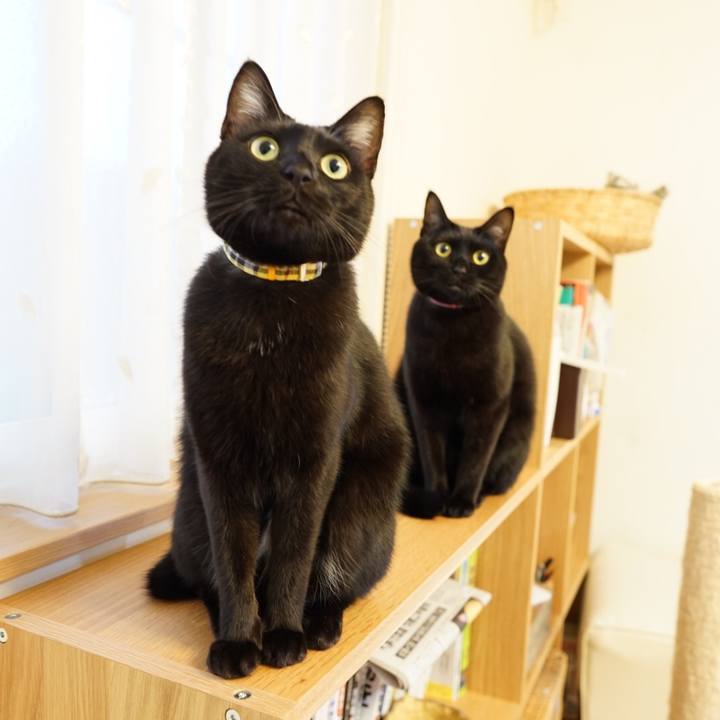 49478fa3 b801 4de6 8fa6 9d4c4f23c7c8 1544053864461