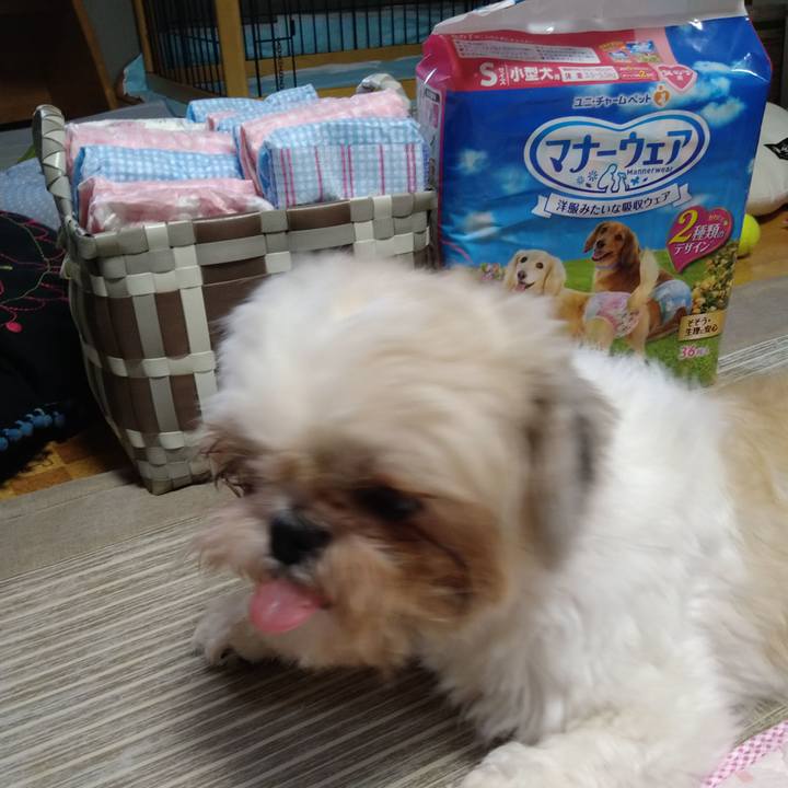 4947b93d 6e19 43a8 bc37 752231107c69 1600382490789