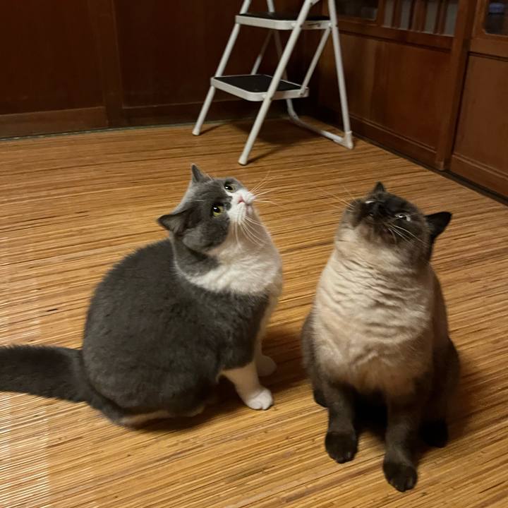 4947cc86 f826 4fe3 ab7e b1d434d87497 1638542086071