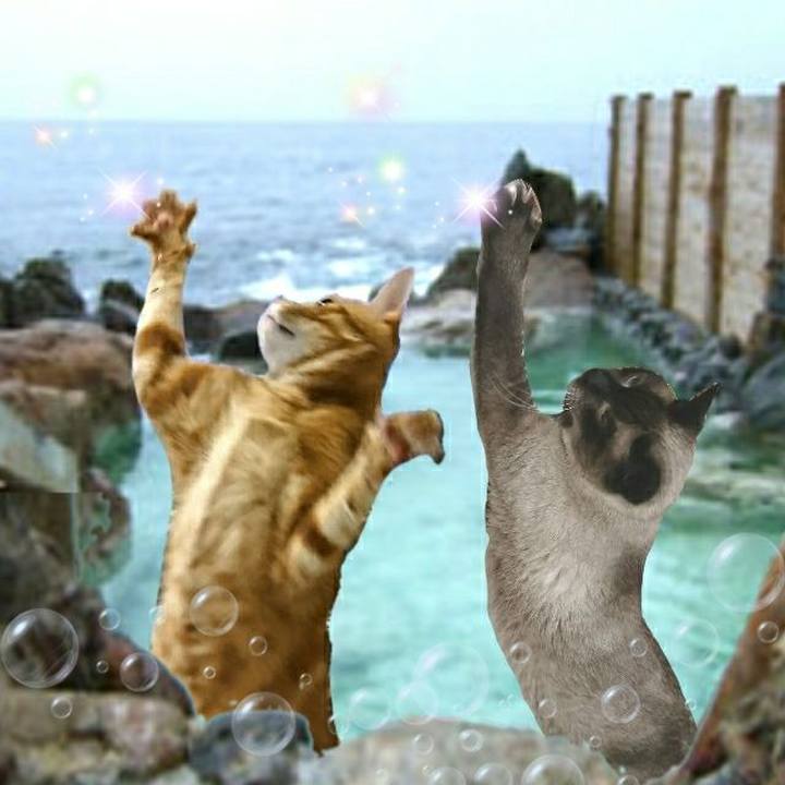 4947eea4 3181 4b43 bd56 a9f9843a3154 1546349032444