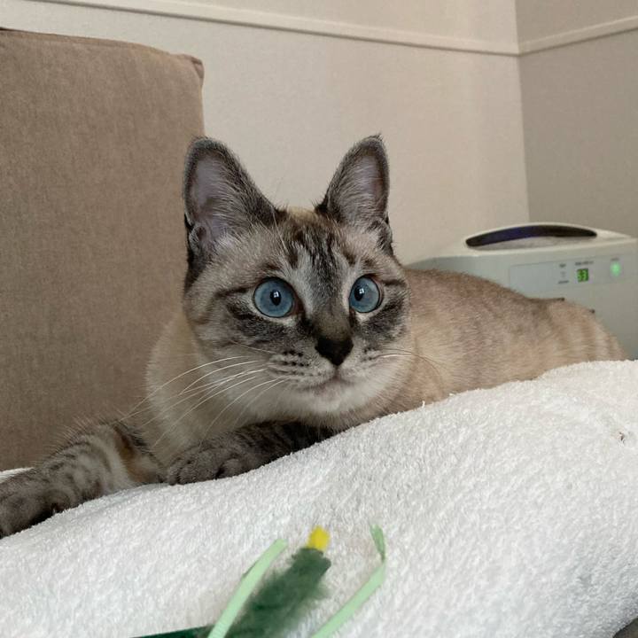 4947fbc2 253a 4ea6 8a69 fc3e1c134ddc 1623319193896