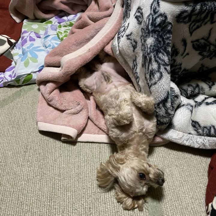 49480140 4cec 4804 bfa2 10dd81106b60 1584232445197