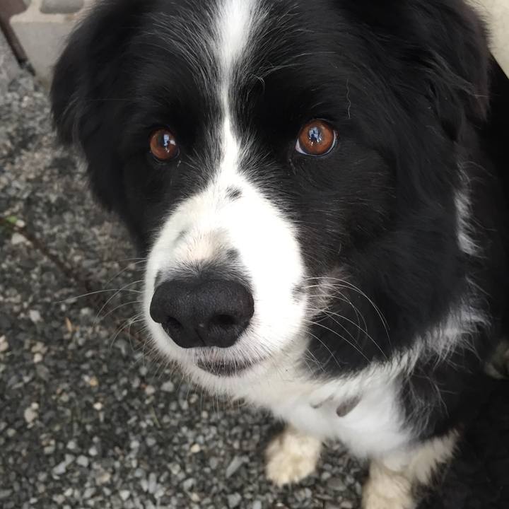 49481c73 4d39 47d6 8ff0 fc9774cf267b 1559002972301