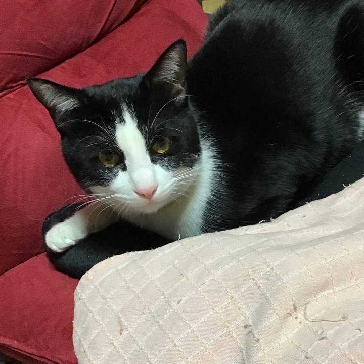 4948335a b9bd 4edb 9142 23f5e27641bf 1647854430306