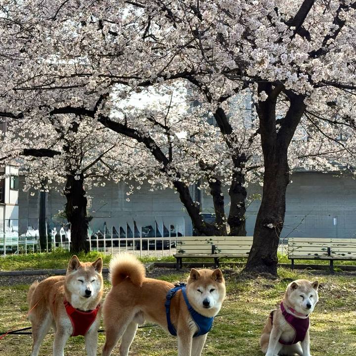 49485905 db0e 4c36 b952 6b536ca3db53 1774872870336