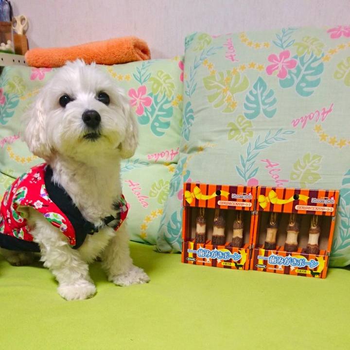 49488e62 fa00 4065 a9f4 e1dff7b1986c 1514192191801