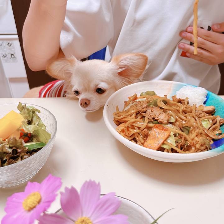 4948b875 4cbd 44ea a328 1da48b1a9fe5 1664451106471