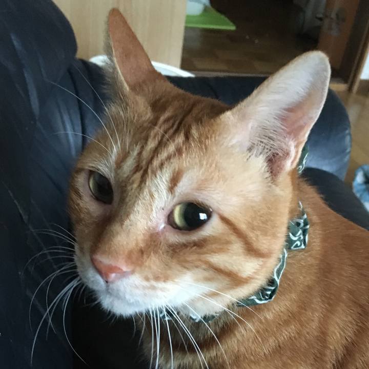 4948f6f2 aa31 425e b00b 42a52fa25197 1537698574267