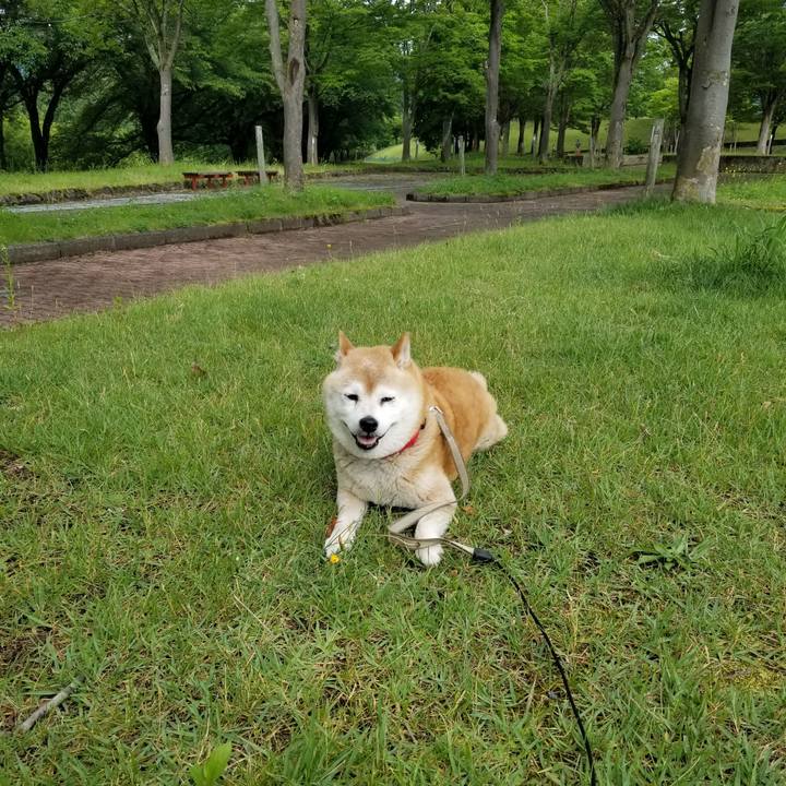 49490a2c 7b4e 4c06 acb1 f7cb15c0dbda 1718692847164