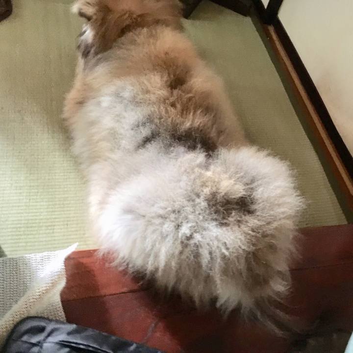 49492745 3435 4bb6 b5c3 90fb55895193 1548145773532