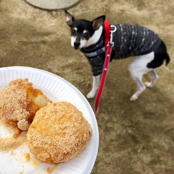 49494e6d d170 4050 8837 ae76b84668b3 1544344551274