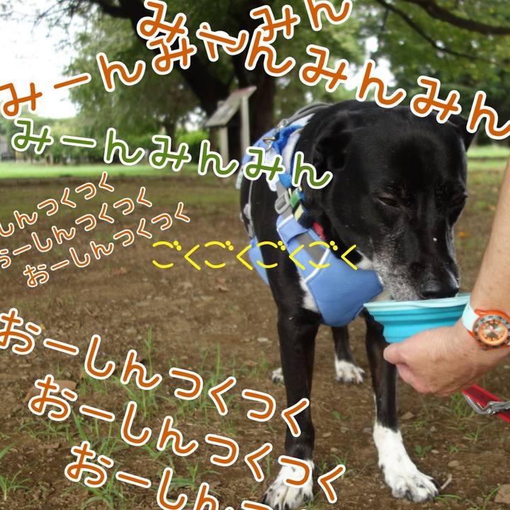 4949781d c987 48ba 9170 d6901861ad3e 1692403793334