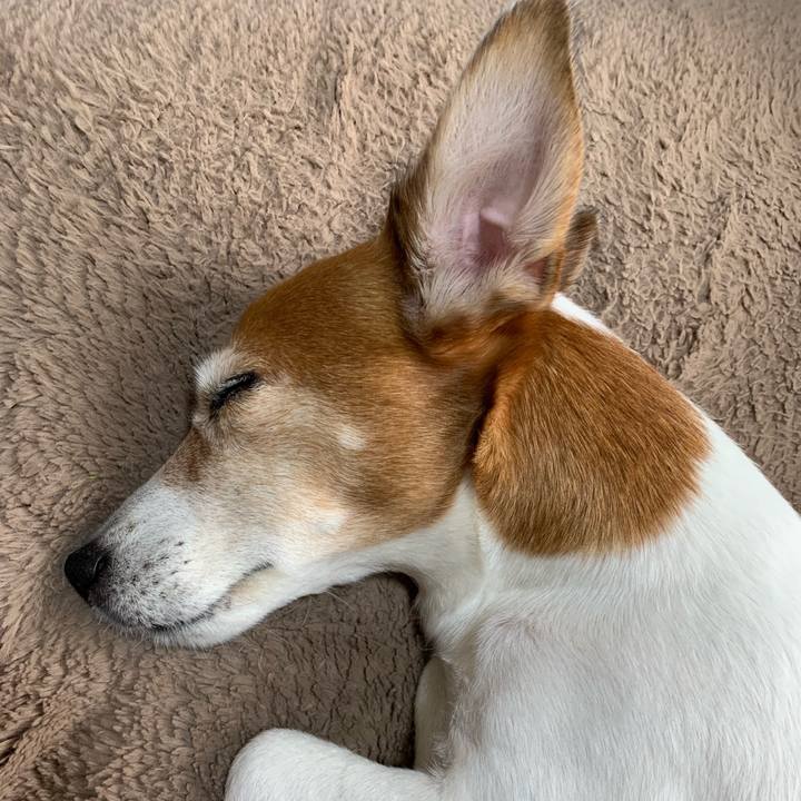 494980d5 c46f 4695 9ed2 c149e581df23 1561564622775