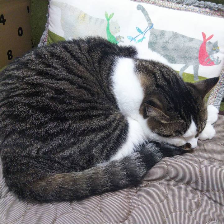 494991ce c081 4b04 8193 f13ffb0fa956 1656852330961