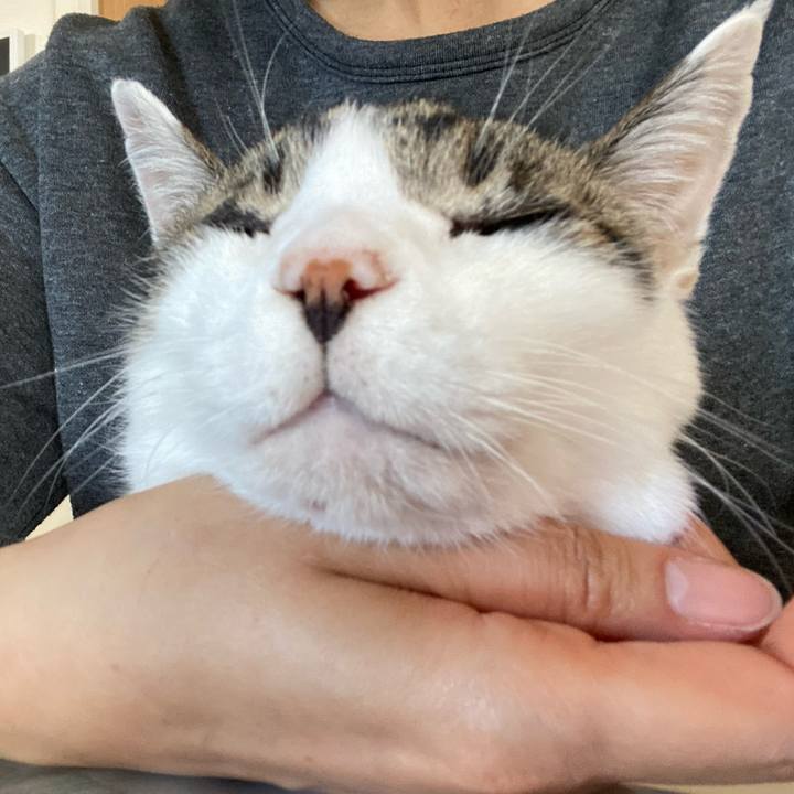 4949ee8f 4050 4c79 b848 6bf297db0e7b 1667706361326