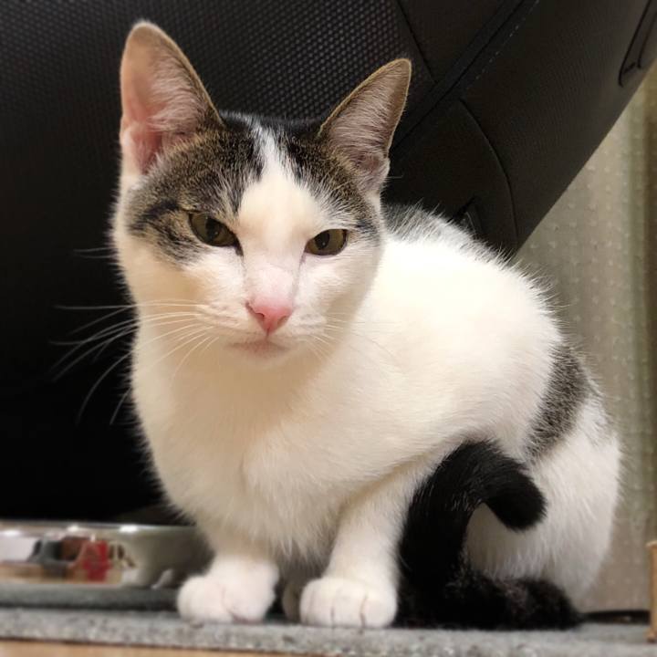 4949f746 f165 4bc2 818a 323e3cbba63b 1584276246805