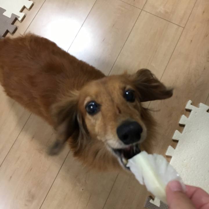 494a3bcf 159b 4882 bd76 15031b24382d 1561899081810