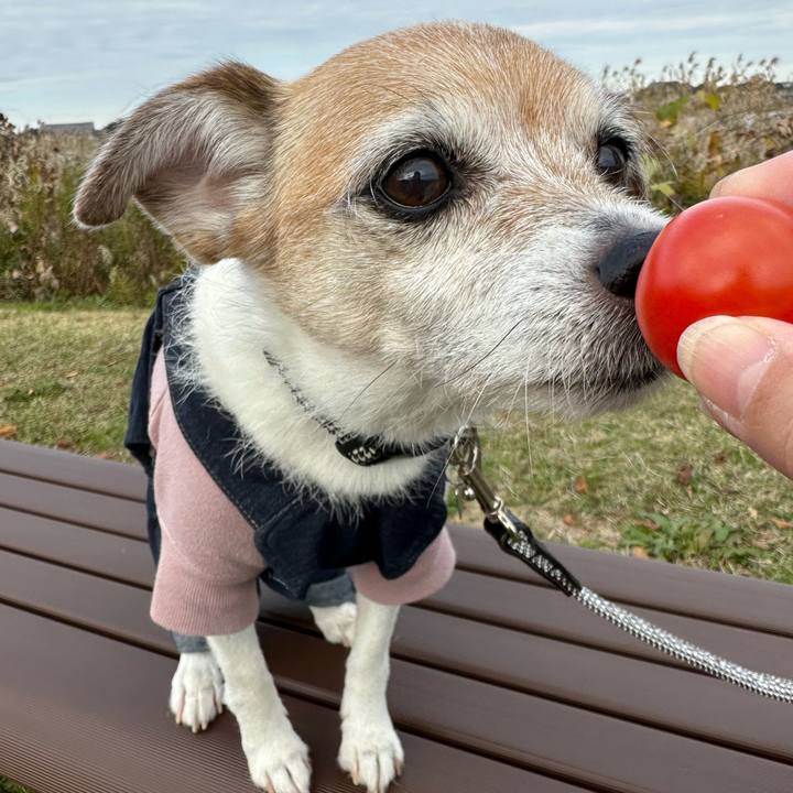 494a5f30 b4af 48f3 baba cd914e27b243 1670131504708