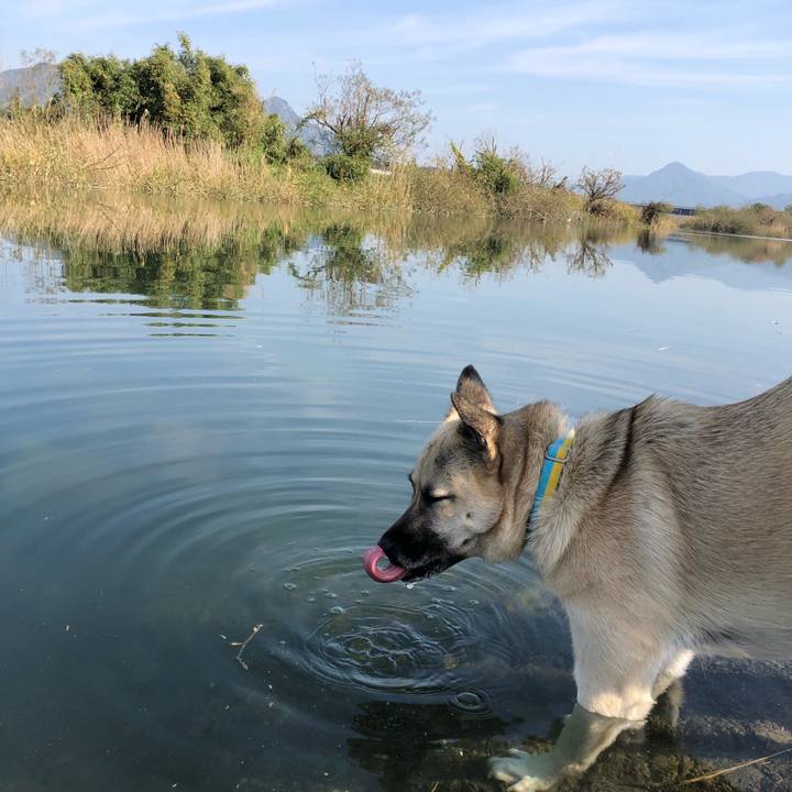 494aac7f db83 4556 aa57 8e4985df9338 1541922223314