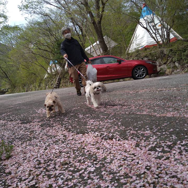 494aefc4 16d1 4d93 a23e c3aa435c3f2c 1651373733860